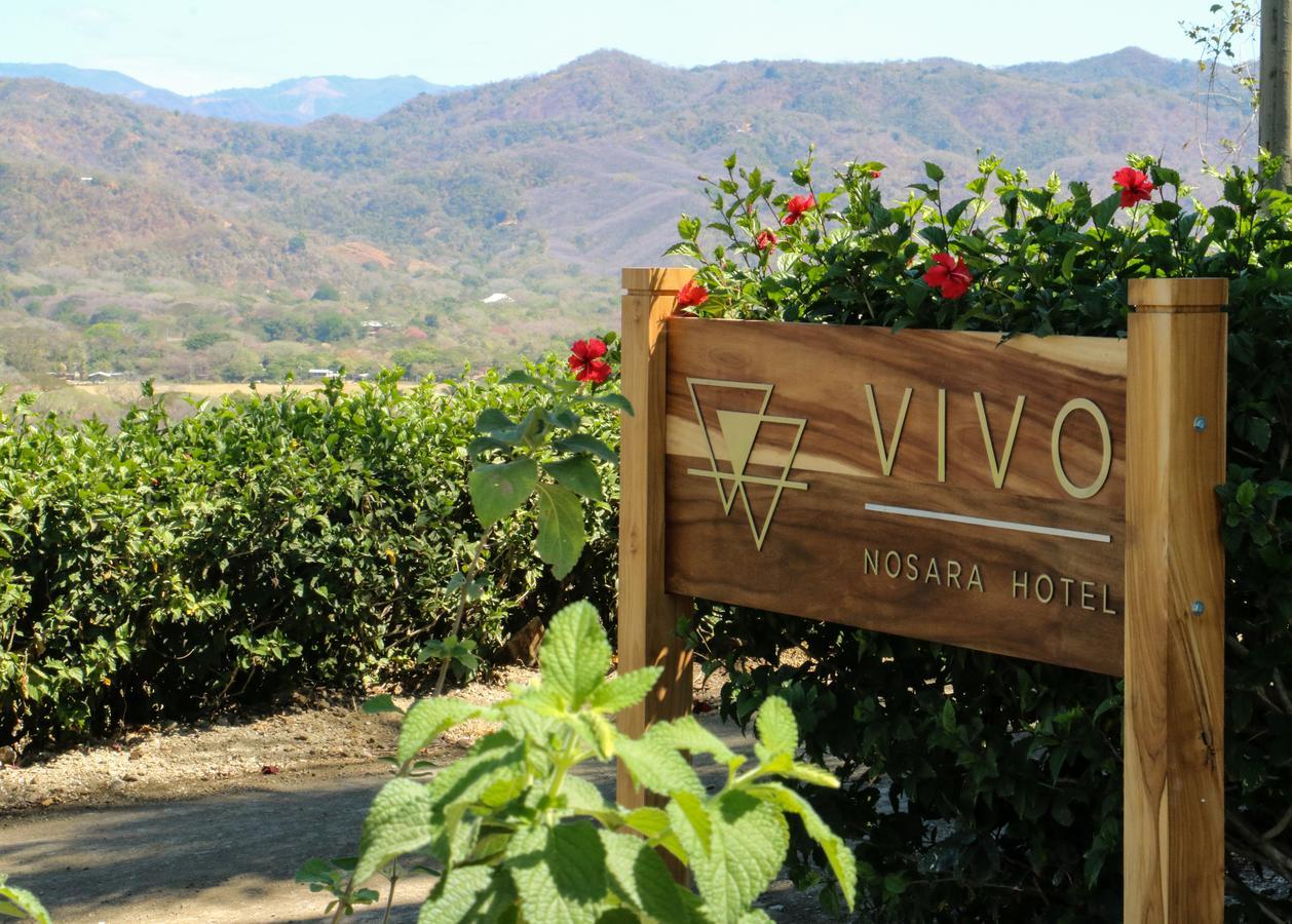 Vivo Nosara Hotel ภายนอก รูปภาพ